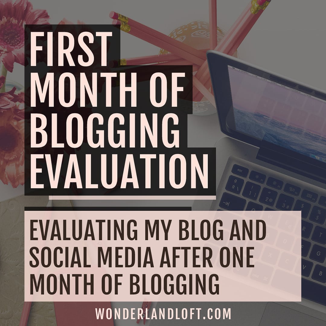 Evaluation of my first month of blogging